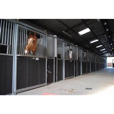 Fienile per cavalli con telaio in acciaio